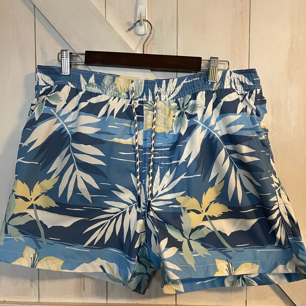 American Eagle swim shorts